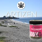 Artizen - Ducthberry