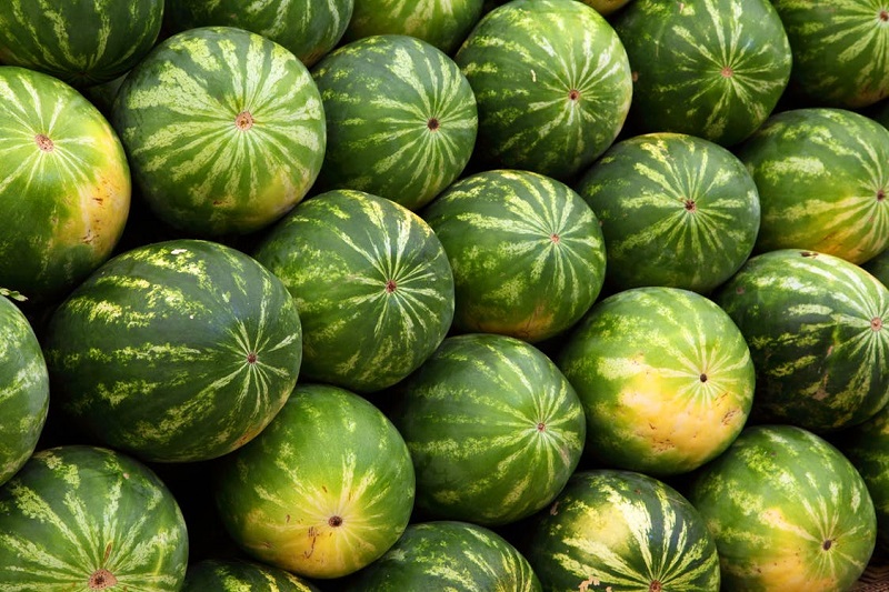 Watermelon Bong