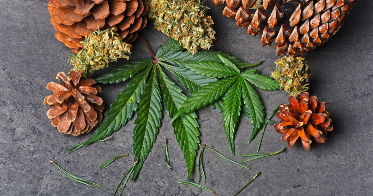 What is pinene