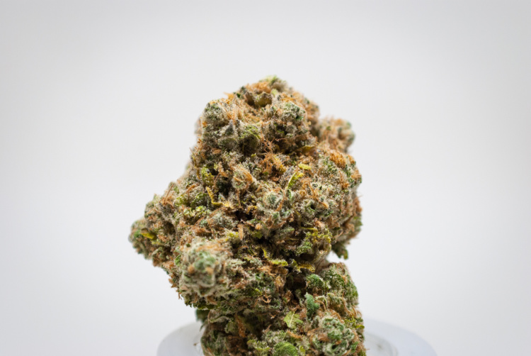 Strains for the Holidays 3