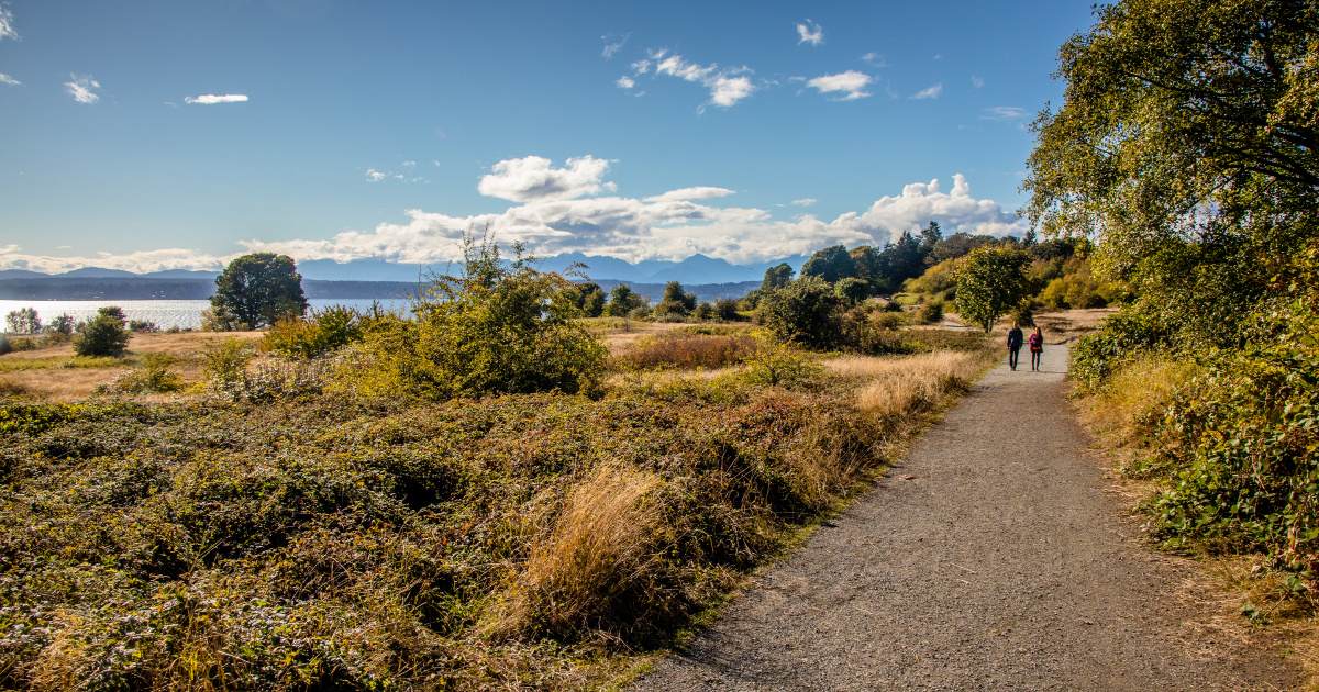 Seattle Hiking Spots You Have to See -Greenside Recreational