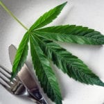 cannabis recipes