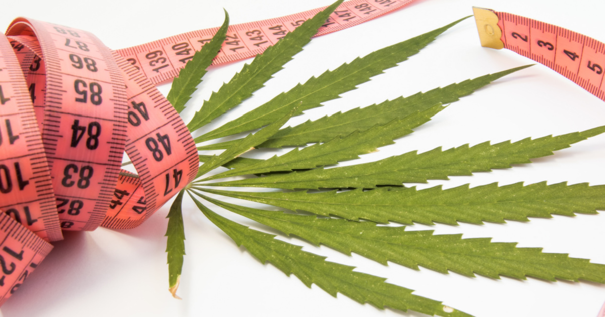 Cannabis For Weight Loss – Can It Really Help? - December 2020